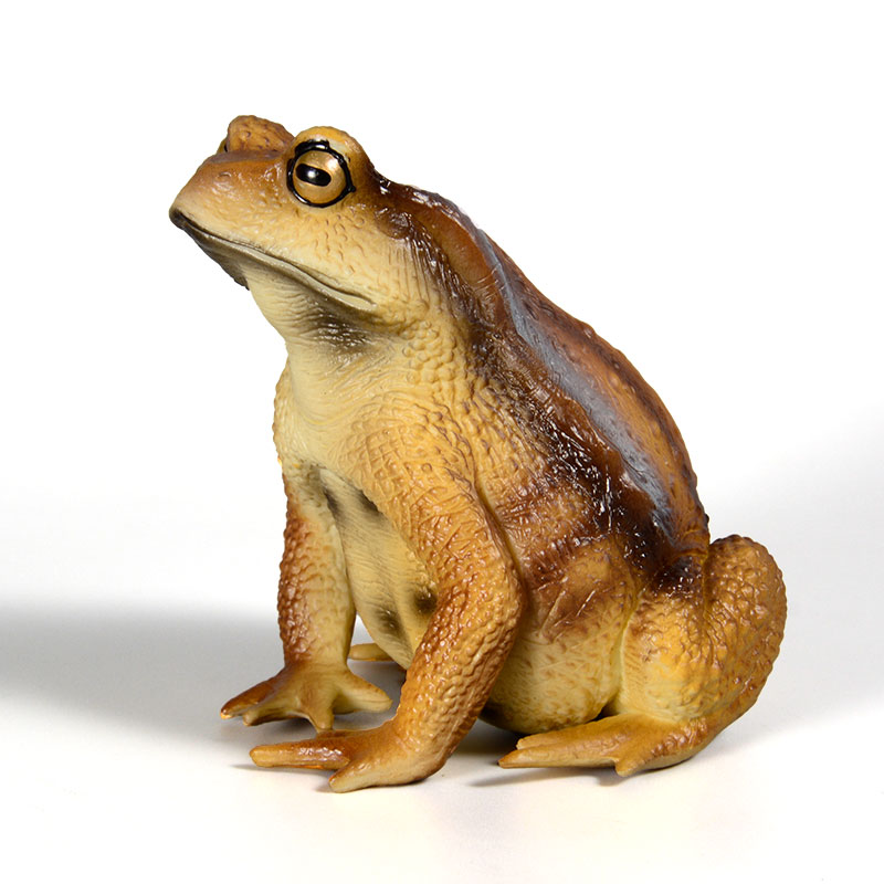 Figurine de grenouille amphibi - Kids Toys Packaging avis et prix